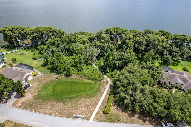 3011 Indian Trl, Eustis, FL 32726 - photo 39