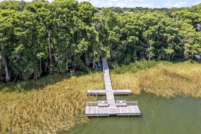 dock area with a water view