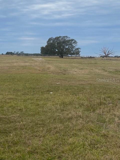 view of local wilderness with a rural view