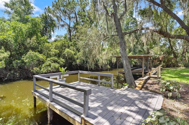 dock area with a water view