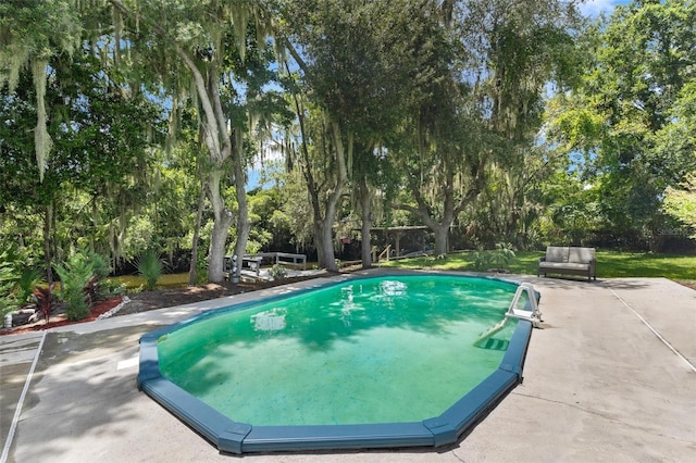 view of swimming pool with a patio