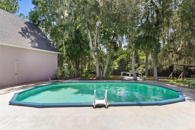 view of pool featuring a patio area