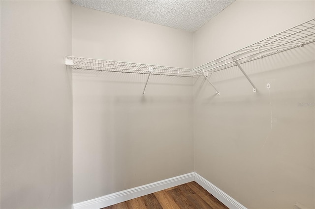 walk in closet featuring hardwood / wood-style flooring