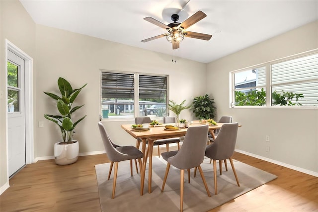 dining area with ceiling fan, wood-type flooring, and a wealth of natural light