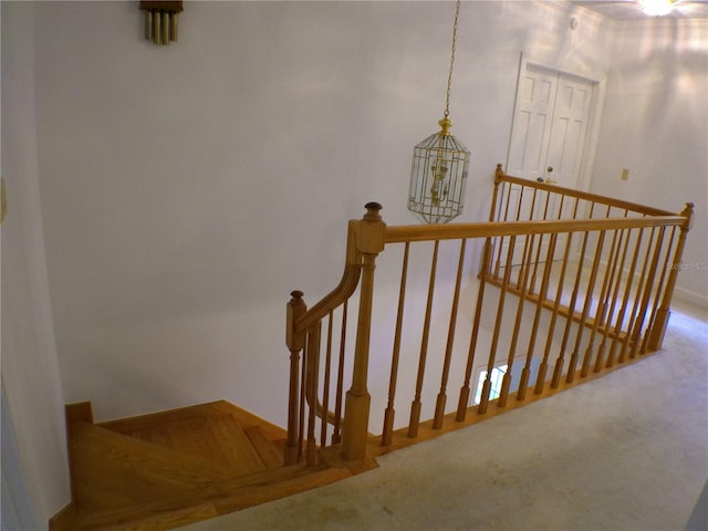 stairway with carpet floors