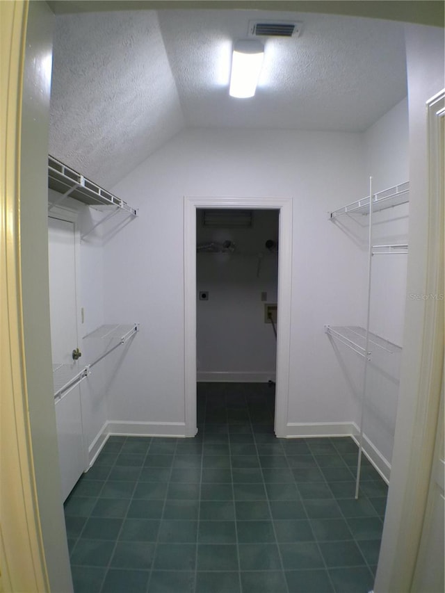 spacious closet with vaulted ceiling