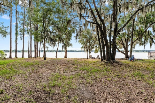 view of yard with a water view