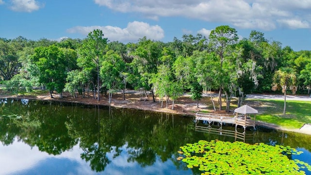 view of water feature featuring a boat dock