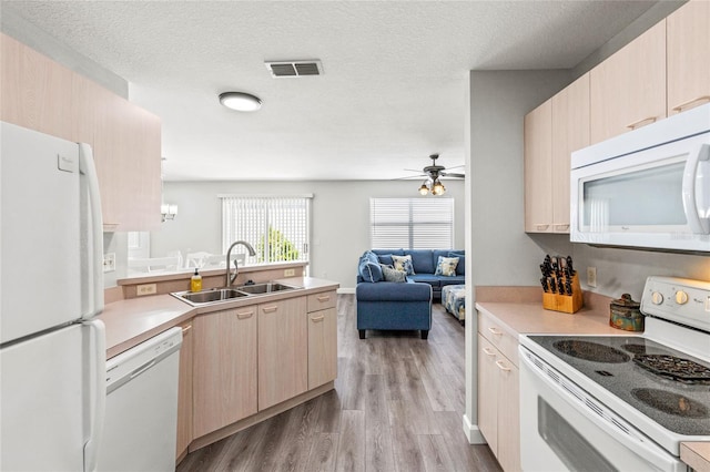 kitchen with sink, light brown cabinets, a textured ceiling, white appliances, and light wood-type flooring