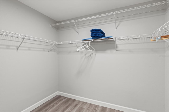 walk in closet with hardwood / wood-style floors