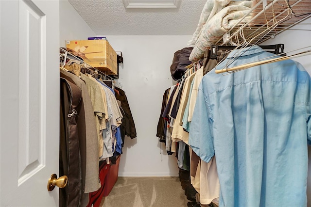 walk in closet with light carpet