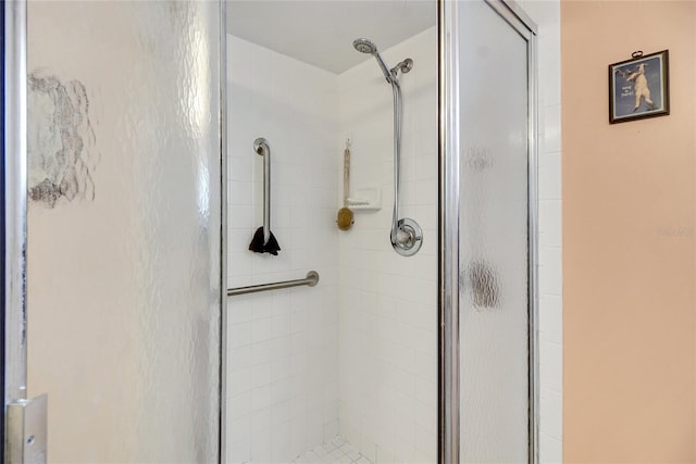 bathroom featuring a shower with shower door