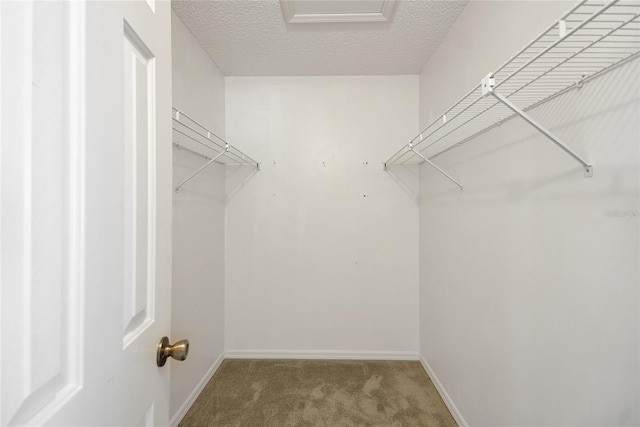 17548 SE 96th Ave, Summerfield, FL 34491 - photo 28