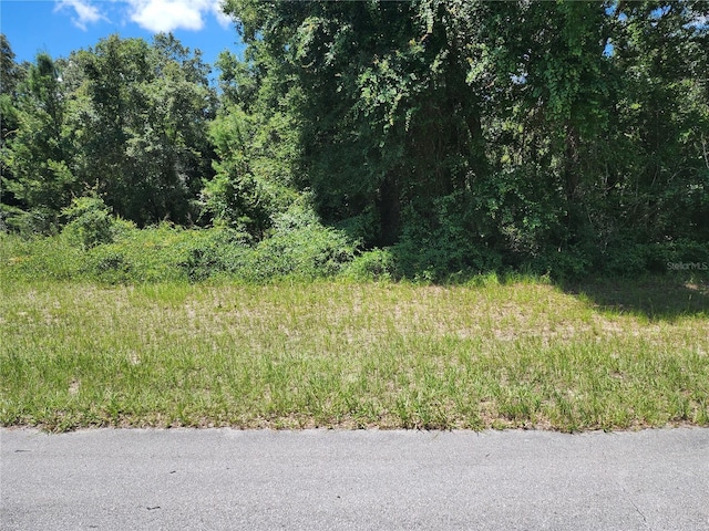 Sw 132 Lane, Ocala FL, 34473 land for sale