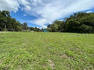 NE Fourth St, Webster FL, 33597 land for sale