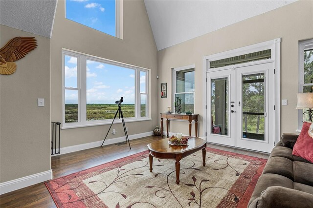 living room featuring high vaulted ceiling, hardwood / wood-style floors, plenty of natural light, and french doors