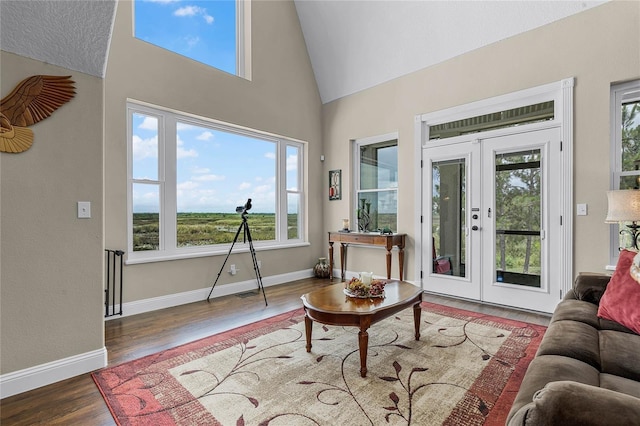 living room with hardwood / wood-style floors, a wealth of natural light, and french doors