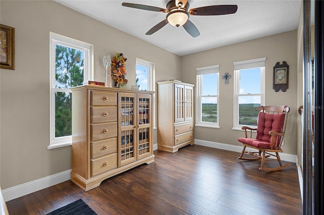 living area featuring dark hardwood / wood-style floors and ceiling fan