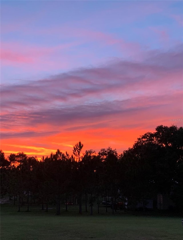 view of nature at dusk