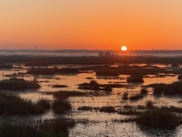 nature at dusk with a water view