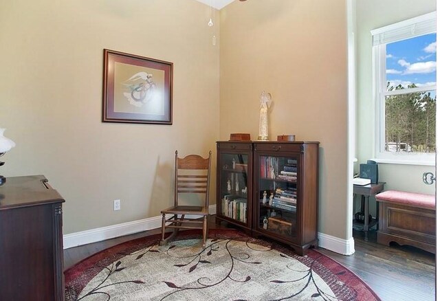 sitting room featuring dark hardwood / wood-style flooring