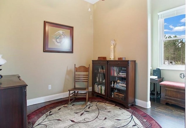 living area featuring dark hardwood / wood-style flooring