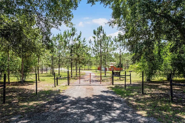 13910 Max Hooks Rd, Clermont, FL 34711 - photo 40