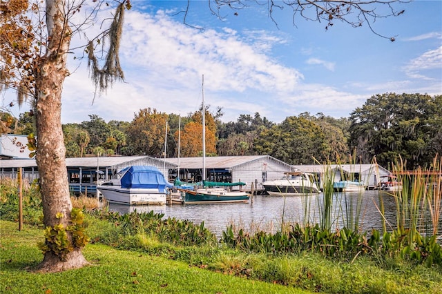 dock area featuring a water view