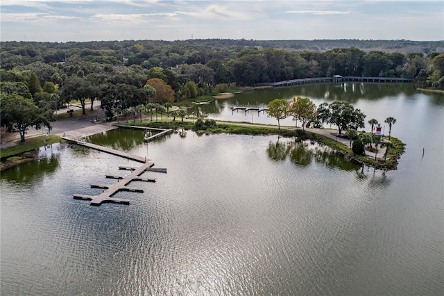 view of water feature with a boat dock