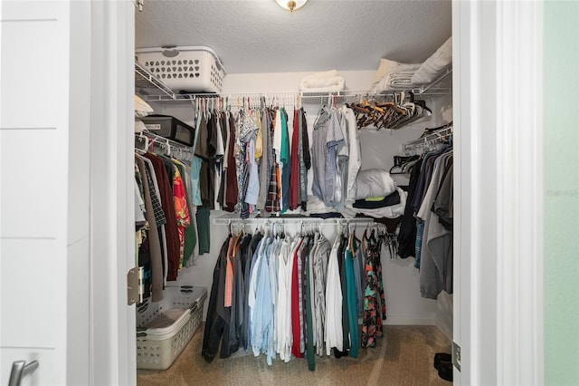 spacious closet with carpet floors