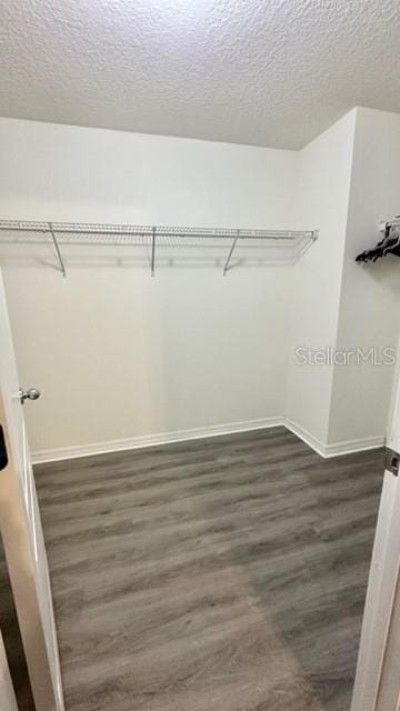 walk in closet with dark hardwood / wood-style flooring