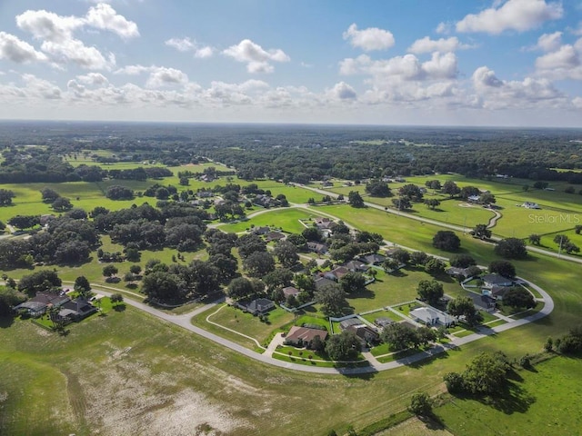 32313 Oak Canopy Dr, Sorrento, FL 32776 - birds eye view of property
