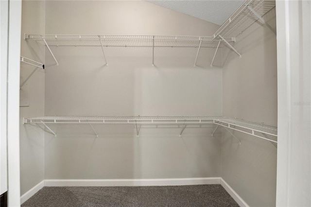 spacious closet with carpet flooring