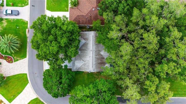 drone / aerial view