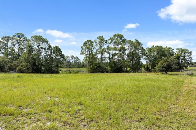 view of yard featuring a rural view