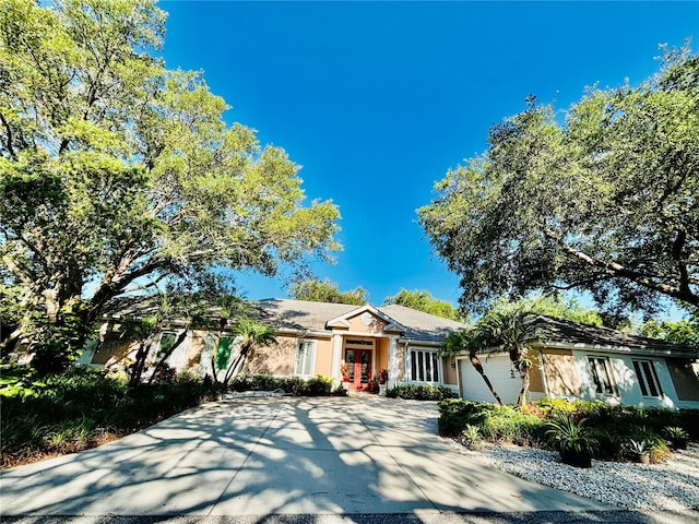 ranch-style house featuring concrete driveway, an attached garage, and stucco siding