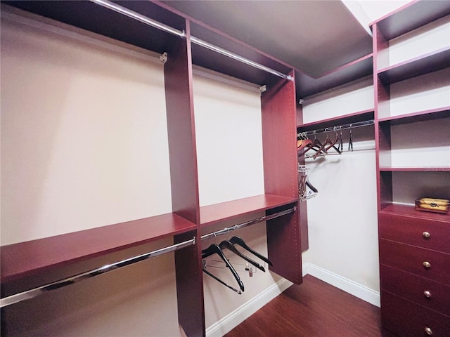 walk in closet featuring hardwood / wood-style flooring