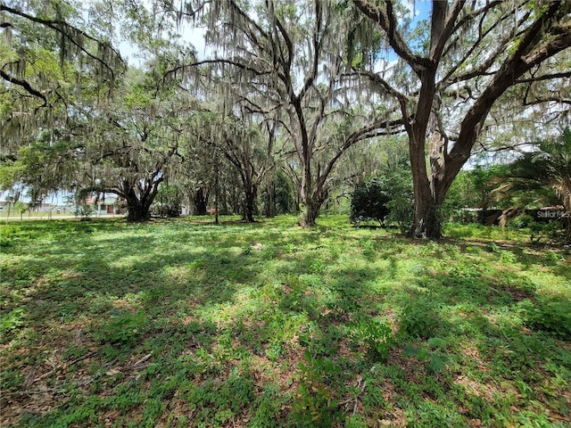 7059 SE County Highway 25a, Belleview FL, 34420 land for sale