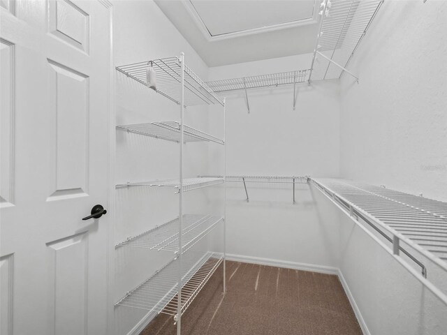 spacious closet with carpet