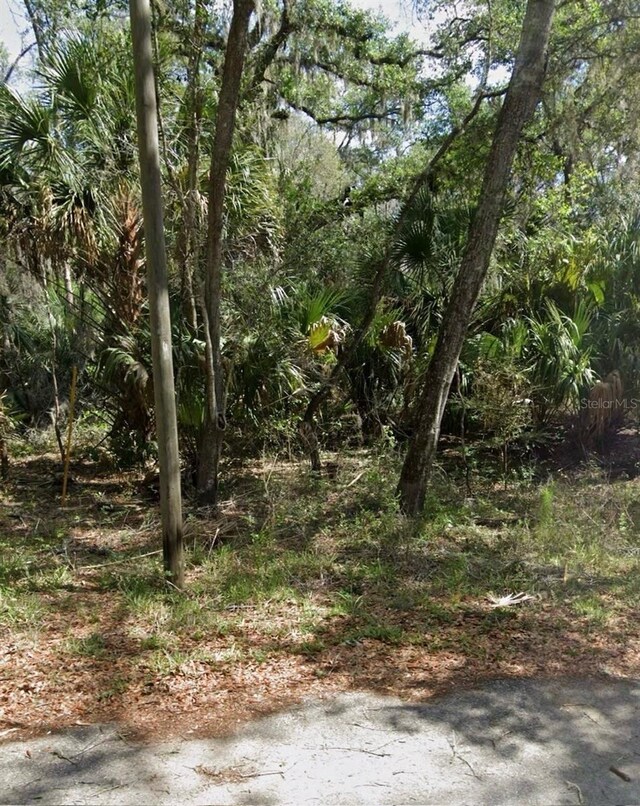 8099 W Catrina Ln, Crystal River FL, 34428 land for sale