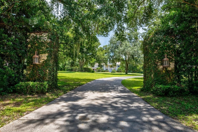 view of community with a yard