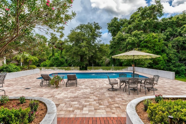 view of swimming pool featuring a patio area