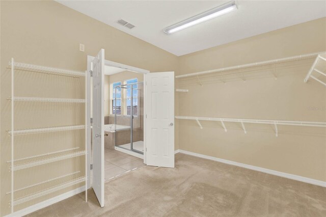 spacious closet with carpet floors