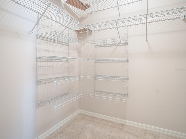 view of spacious closet