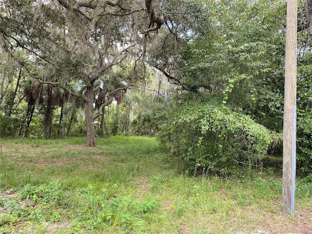 Cr 448c, Lake Panasoffkee FL, 33538 land for sale