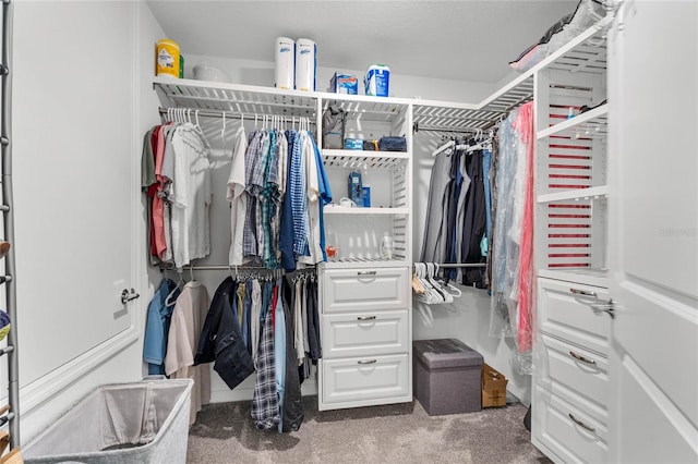 walk in closet with carpet