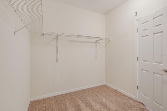 walk in closet with carpet