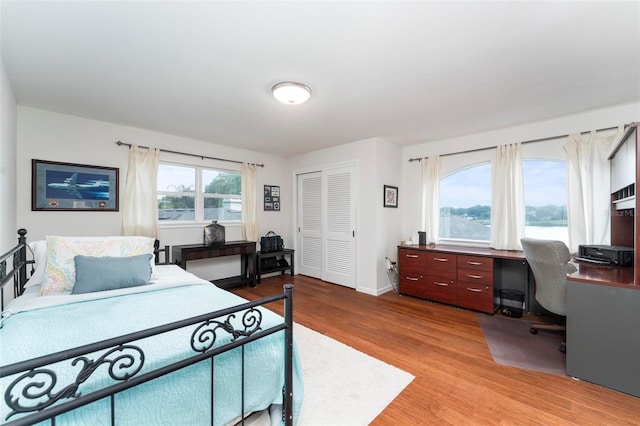 bedroom featuring multiple windows, light hardwood / wood-style flooring, and a closet