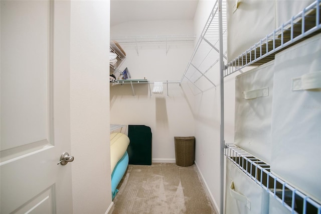 spacious closet with carpet flooring