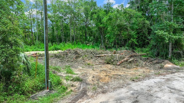 16535 SE 100th Pl, Ocklawaha, FL 32179